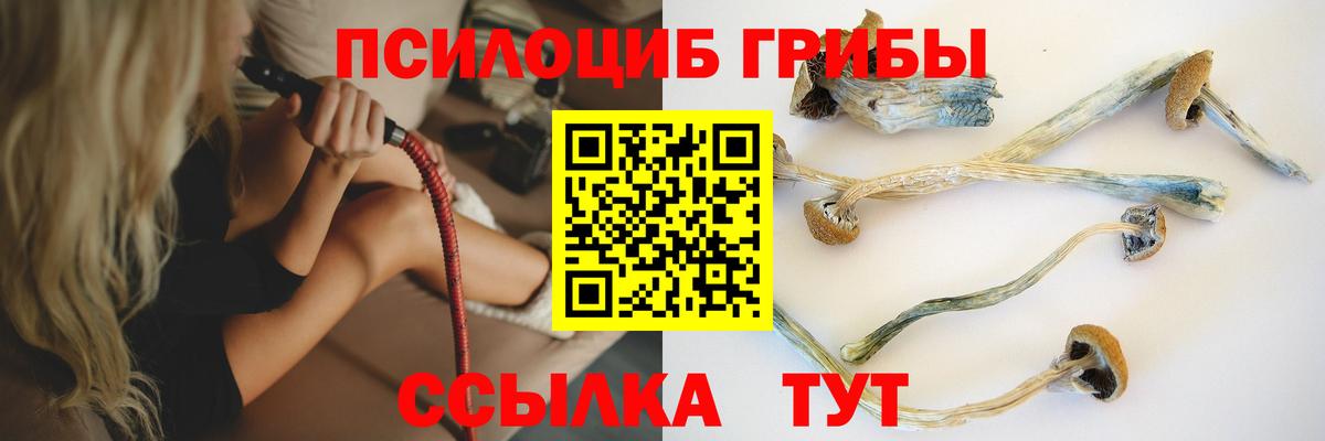 Псилоцибиновые грибы Magic Shrooms  сколько стоит  Сунжа  Вход с VPN 