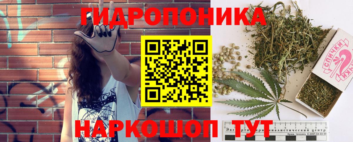 Конопля Bruce Banner Сунжа